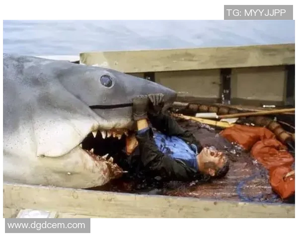 三分王不为人知的十个冷知识揭秘带你发现篮球场上的隐藏真相